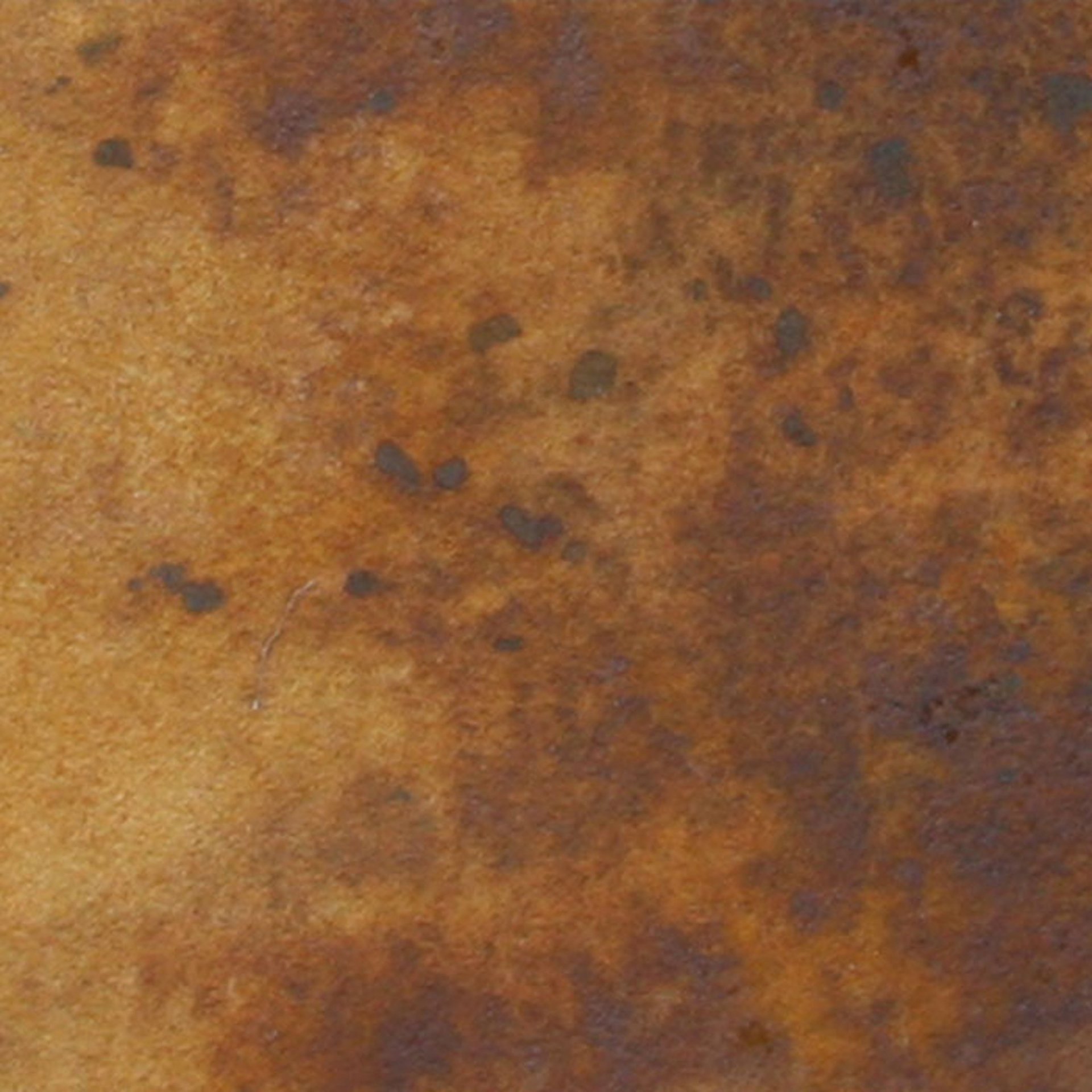 ÓXIDO CLARO 130 ml - Image 5